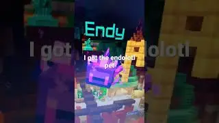 I got the Endolotl pet #minecraft #shorts #bedrock #minecraftbedrock #hive #endolotl #endolotlpet