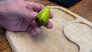 Sucrette tasting