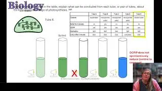 OCR A A-level Biology revision livestream
