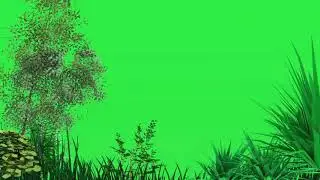 Green screen tree moving mind