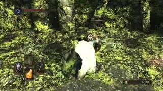 DARK SOULS&trade; II: Scholar of the First Sin - changed alot