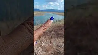 Sertão de patos no meio da caatinga.