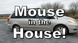 Mouse in my Van! - Live Trap Catch & Release - Rodent Control is Fun & Easy! Vanlife