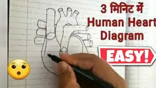 3 Minutes me Heart Diagram ki Drawing