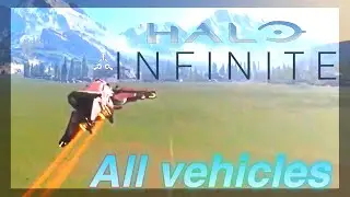 All halo infinite vehicles