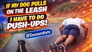 If my dog pulls on the leash I have to do pushups 