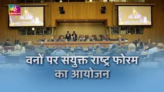 Sansad TV Vishesh: SAVE FOREST: वनों पर संयुक्त राष्ट्र फोरम का आयोजन । 15 May 2024
