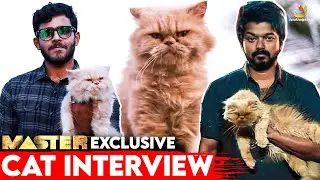 பூனைக்கு கூட Audition பண்ணி இருக்காங்க| Master cat interview | Thalapathy vijay, Lokesh Kanagaraj