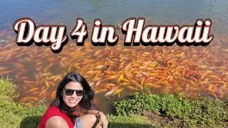 Day 4 in Hawai 😍 #travel #trending #viral #couple #love #funny #live #vlog #happy #india #travelvlog