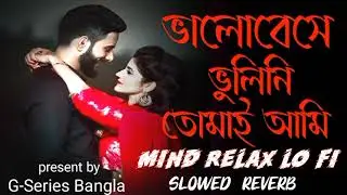 ভালোবাসে ভুলিনি তোমায় আমি 💔 | Mind Relax LoFi | Slowed Reverb | Bangla Sad Song 2025