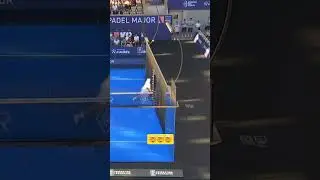 Ridiculous 🔥🔥 #video #shorts #padel #skill #shot #winner #smash #hotdog #reaction #volley