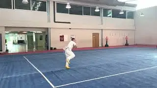 Samuel Montalvo Mexico Chang Quan 2021 IWUF Taolu Virtual Competition