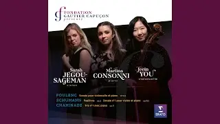 Piano Trio No. 1 in G Minor, Op. 11: IV. Allegro molto agitato
