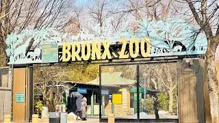 #bronxzoo tour live from New York 🕹️🕹️مباشرة من أكبر حديقة حيوانات بنيويورك
