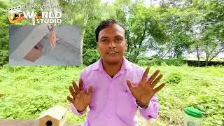 SPARROW CONSERVATION CAMPAIGN ( गौरैया संरक्षण अभियान )