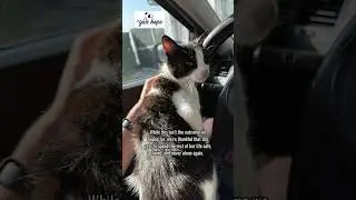 Sometimes rescues don&rsquo;t have a happy ending