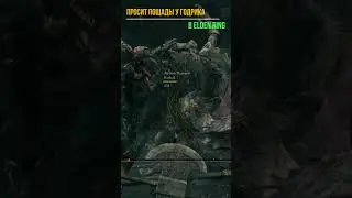 ПРОСИТ ПОЩАДЫ У ГОДРИКА В Elden Ring