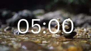 5 Minutes Timer With Relaxing Music