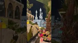 Исламские шорты, в существование которых вы не поверите! Исламские шорты, исламские шорты в изоби...