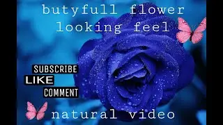 #ms relaxing videos! @smooth muscle$videos#butyfull natural climate#