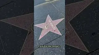 Hollywood and the Academy Museum #solotravel #oscars #filmandtv