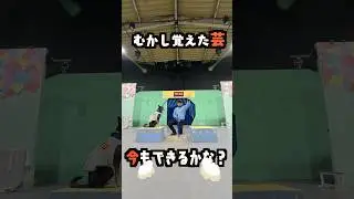 元保護犬の記憶力のよさを見せてやる！