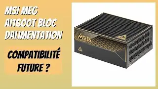 AVIS (2026) : MSI MEG Ai1600T Bloc dalimentation. D&Eacute;TAILS