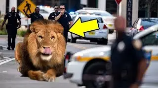 حالات هروب الحيوانات من حديقة الحيوان