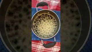 Cleaning and Rendering Beeswax Pt.2 #beekeeping #beekeeper #honey #beeswax #wax #beehive