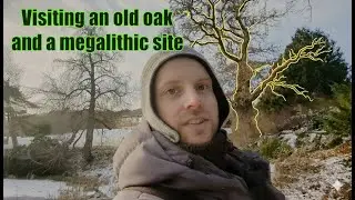 Visiting an old oak and an ancient bural site