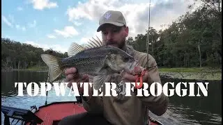 Daiwa kikker curly Frog fishing at Maroon dam