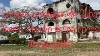 Bateyes de Cuba, Tesico, Chucho de los cocos y Jinaguayabo en Villa Clara