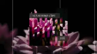 Dynamic Reflection Podcast Series 005: The Plant Worker & DIAPO