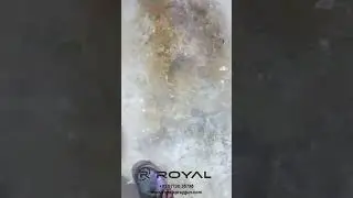 PRONA Mold Release Spray Gun | Precision Application for Industrial Molding