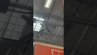 1000 view greatest hits remake Hunter, coastal breeze ceiling fan at Home Depot