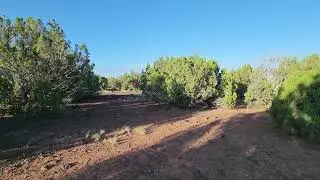 1 Acre Outdoor Paradise in Concho, AZ