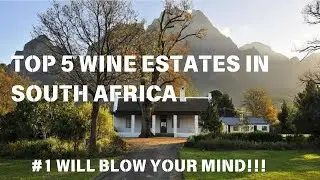 Top 5 Wine Estates in South Africa You Must Visit | 2025 Travel Guide