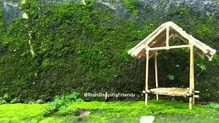 Nature Rain Sounds for Sleep | Quiet ASMR Rain with No Music