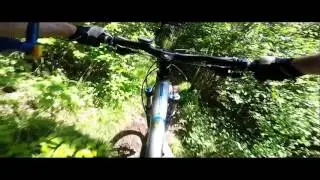 Farrer's Allotment Forest Descent, Whitbarrow, Cumbria