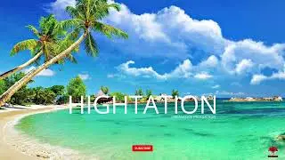 [FREE] REGGAE INSTRUMENTAL - HIGHTATION RIDDIM Damian Marley Chronixx Protoje