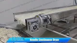 Noodle 8m*4layers all-in-one continuous dryer pasta drying machine use electricity as heat source