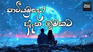 පාවී යමුදෝ ඈත ඉමකට || paawi yamudo atha imakata || Manoj Hasitha 