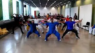 Pŕactica en Congreso Nacional Ho Hok Pai Kung Fu 2017