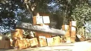 Parkour & fight