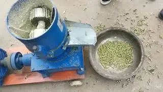 feed pellet machine make the hot feed pellet with green grass and corn