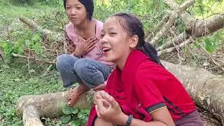 231：今天跟老挝小姑娘上山寻找本土原生太食物Today, I went up the mountain with a Lao girl to find local native food