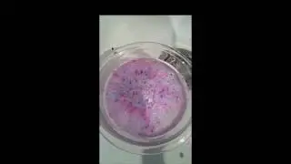 4th of July Bath Bomb Test