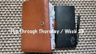 Flip Through Thursday / Week 25 - Gillio and Freely Noted // Pink Planner Girl