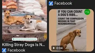Dogs life matter too