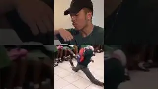 What kind of dance is this?? 😂 South African Amapiano Dance 🇿🇦 AMERICAN REACTION! #shorts